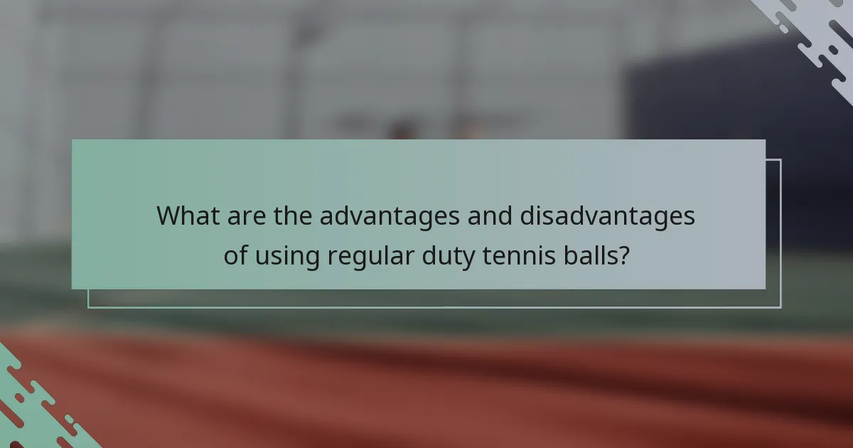 What are the advantages and disadvantages of using regular duty tennis balls?
