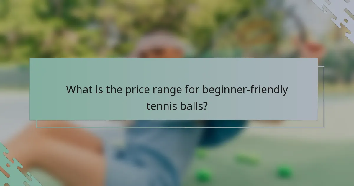 What is the price range for beginner-friendly tennis balls?