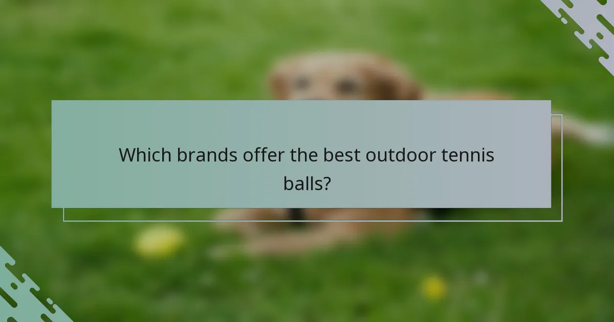 Which brands offer the best outdoor tennis balls?