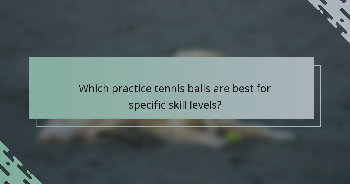 Which practice tennis balls are best for specific skill levels?